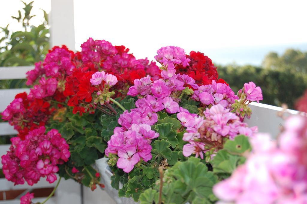 B&B H224 Reggio Calabria Exterior photo